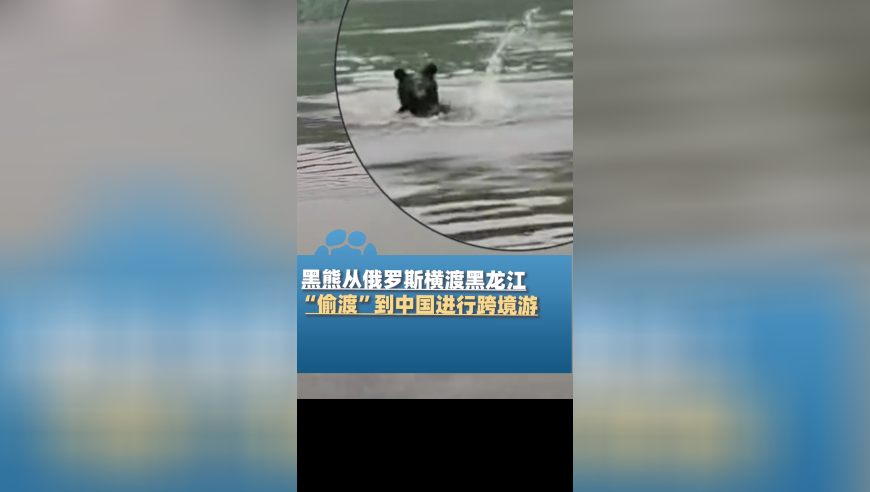 香港免费公开资料大全更新,哪吒2放映国家越来越多,最佳精选解释落实_潮流版V6.22