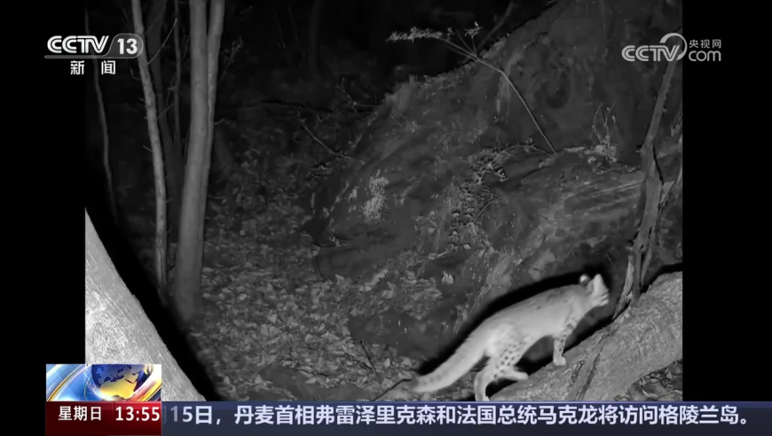 浪莎再次声明,马会传真论坛澳门资料下载,确保成语解释落实的问题_至尊版V11.20